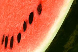 Watermelon Slice watermelon, fruit, vegetable, food, green, red, fresh, tasty, slice, juicy